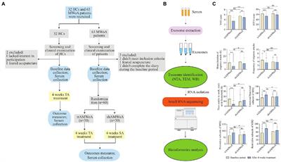 Circulating exosomal microRNA profiles in migraine patients receiving acupuncture treatment: A placebo-controlled clinical trial